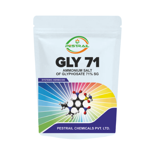 GLY 71